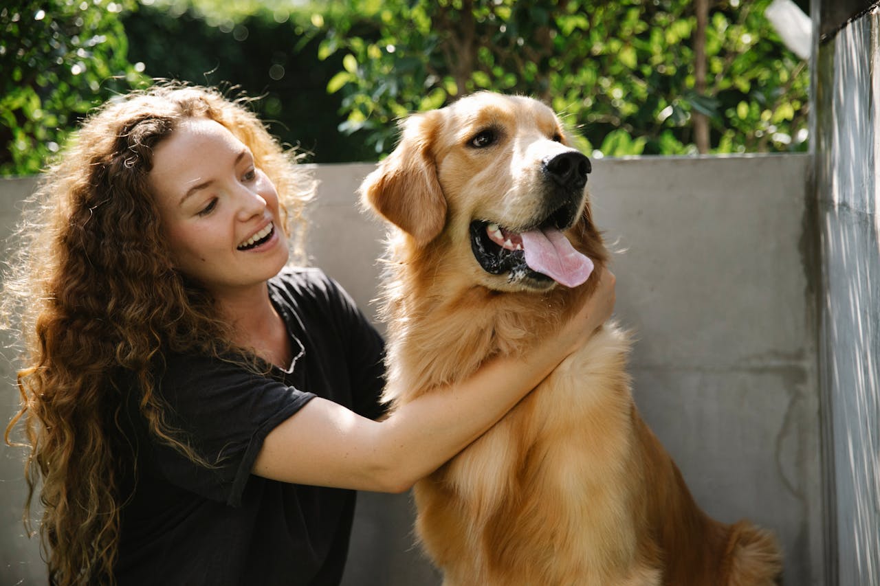 pet ownership responsibilities